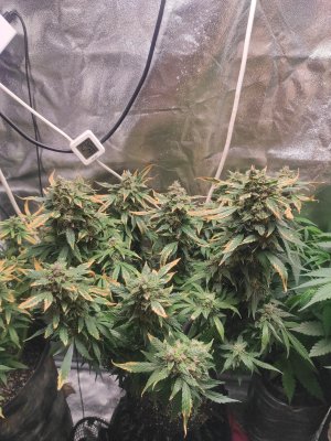 2023-05-23-21-02-02-155.jpg 2023-05-23-21-02-02-155.jpg