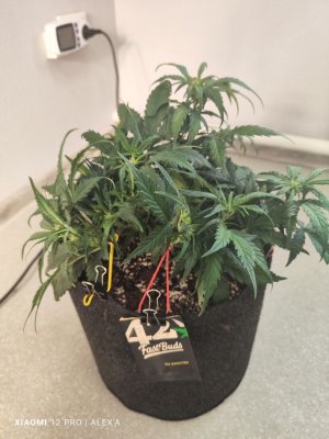 IMG_20230523_183557.jpg IMG_20230523_183557.jpg