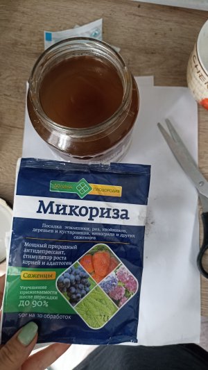 IMG_20230424_095215.jpg IMG_20230424_095215.jpg