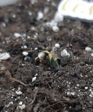 20230521_204042.jpg 20230521_204042.jpg