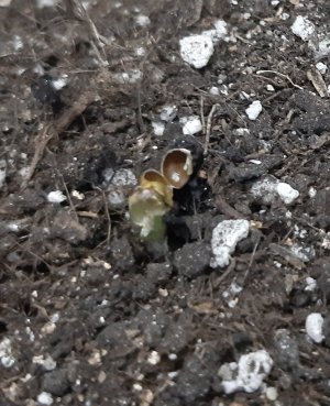 20230521_203957.jpg 20230521_203957.jpg