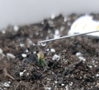 20230521_204307.jpg 20230521_204307.jpg