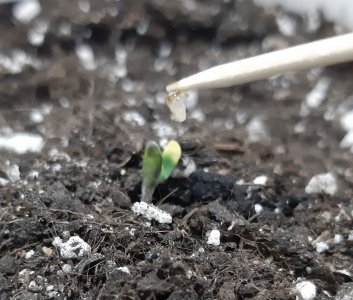 20230521_204435.jpg 20230521_204435.jpg