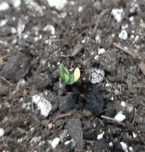 20230521_204506.jpg 20230521_204506.jpg