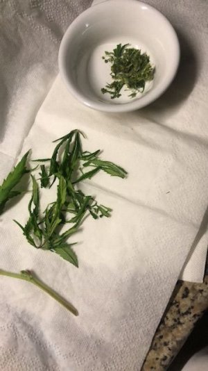 522D66F4-26E1-4B67-BE13-26BB34071688.jpeg 522D66F4-26E1-4B67-BE13-26BB34071688.jpeg