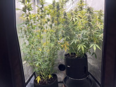 IMG_9496.jpeg IMG_9496.jpeg