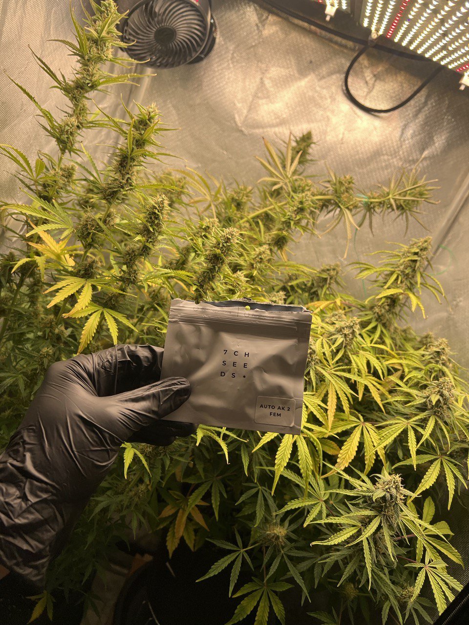 IMG_9499.jpeg IMG_9499.jpeg