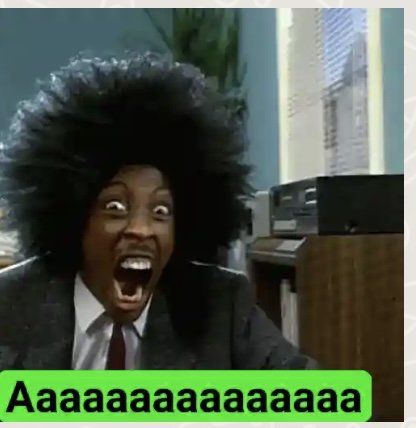 IMG_5071.jpeg IMG_5071.jpeg