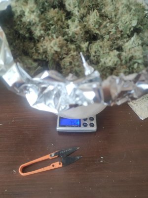 IMG_20230601_132121_433.jpg IMG_20230601_132121_433.jpg