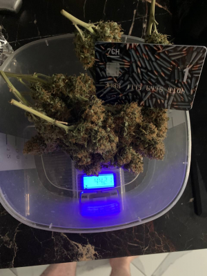 1685772456302.png 1685772456302.png