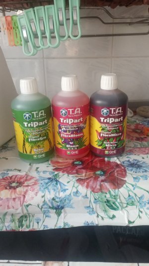 IMG_2023_06_03_18_42_03_9898662457805328406646.jpg IMG_2023_06_03_18_42_03_9898662457805328406646.jpg