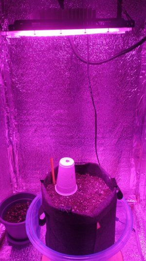 IMG_2023_06_03_21_52_26_5409173731592658749283.jpg IMG_2023_06_03_21_52_26_5409173731592658749283.jpg