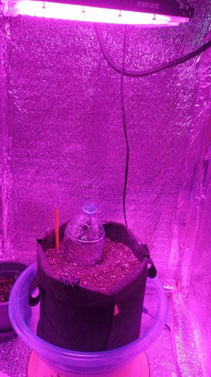 IMG_2023_06_04_07_23_18_8247250802326996207068.jpg IMG_2023_06_04_07_23_18_8247250802326996207068.jpg