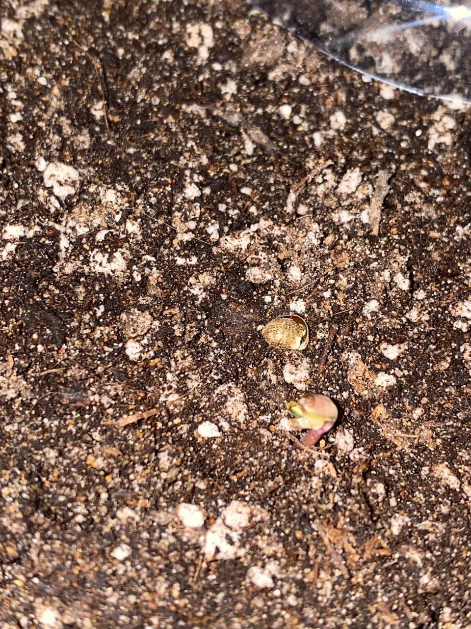 IMG_20230604_230517_876.jpg IMG_20230604_230517_876.jpg