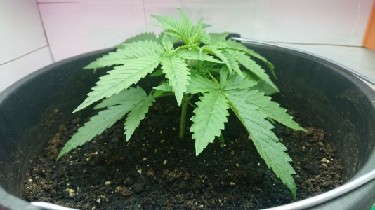 photo_2_2023-06-07_00-28-01.jpg photo_2_2023-06-07_00-28-01.jpg