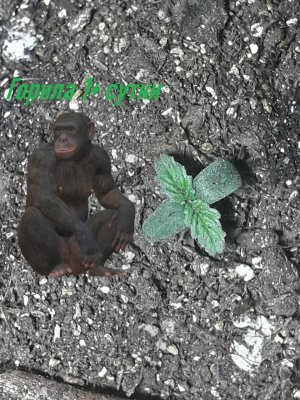 Без имени.jpg Без имени.jpg