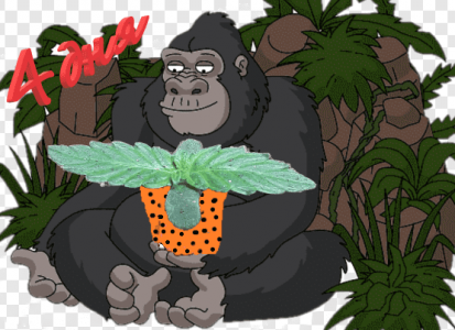 Без имени.png