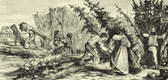 1686481154596.png 1686481154596.png