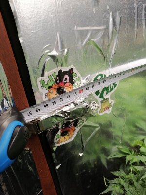 1686601888538.jpg 1686601888538.jpg