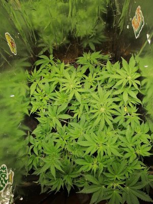 1686678913146.jpg 1686678913146.jpg