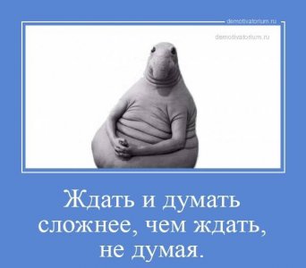 IMG_6938.jpeg IMG_6938.jpeg