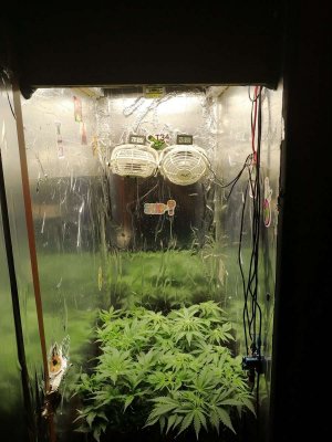 1686774120336.jpg 1686774120336.jpg