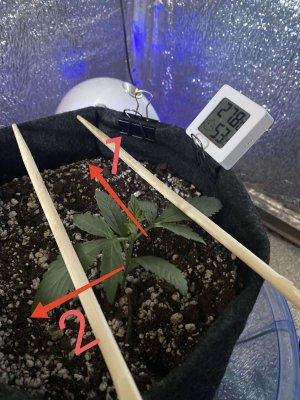 IMG_20230615_223548.jpg IMG_20230615_223548.jpg