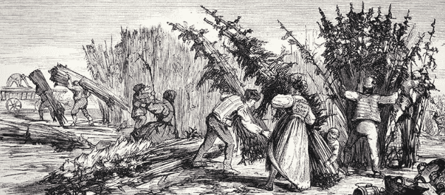 1686861377840.png 1686861377840.png