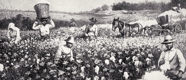 1686861424820.png 1686861424820.png