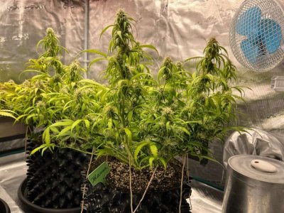 E4B43C7A-C9CB-48D4-8933-C55087B6B325.jpeg E4B43C7A-C9CB-48D4-8933-C55087B6B325.jpeg