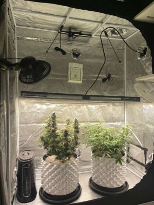 IMG_7232.jpeg IMG_7232.jpeg