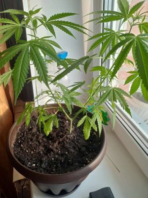 16870906886203976396040705136757.jpg 16870906886203976396040705136757.jpg