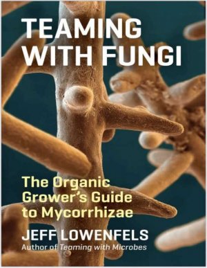 IMG_7328.jpeg IMG_7328.jpeg