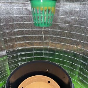 IMG_0562.jpg IMG_0562.jpg