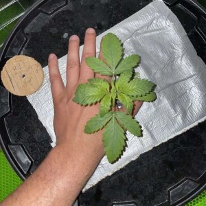 IMG_0636.jpg IMG_0636.jpg