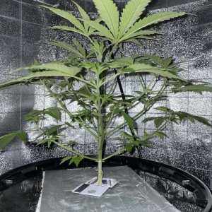 IMG_0754.jpg IMG_0754.jpg