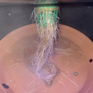 IMG_0776.jpg IMG_0776.jpg