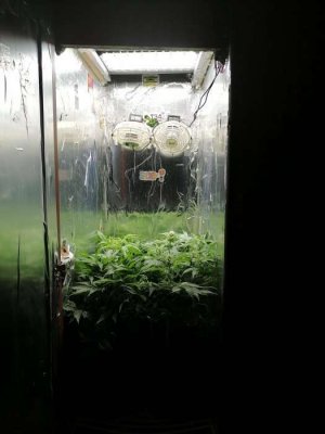 1687339318930.jpg 1687339318930.jpg