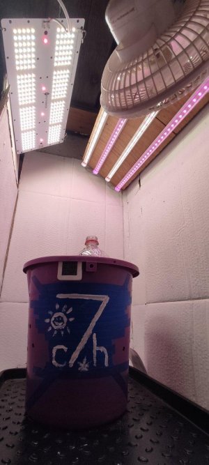 IMG_20230621_155011.jpg IMG_20230621_155011.jpg