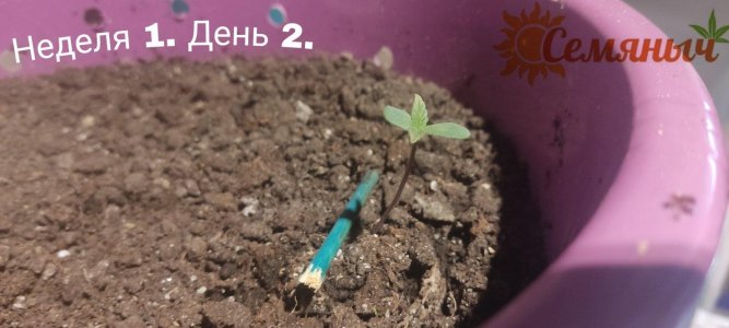 Picsart_23-06-23_09-22-50-282.jpg Picsart_23-06-23_09-22-50-282.jpg