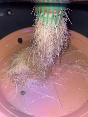 IMG_0832.JPG IMG_0832.JPG