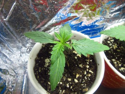 photo_2023-06-28_13-42-24.jpg photo_2023-06-28_13-42-24.jpg