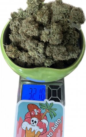 41399E9C-9A34-433F-829E-54A7CFBB8DE9.jpeg 41399E9C-9A34-433F-829E-54A7CFBB8DE9.jpeg