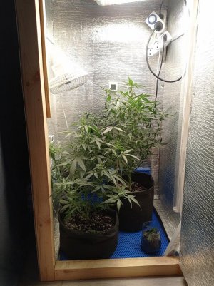 16882034799145398014967622408953.jpg 16882034799145398014967622408953.jpg