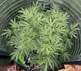 E57E8459-047B-4D10-8D33-0335FA9E1A71.jpeg E57E8459-047B-4D10-8D33-0335FA9E1A71.jpeg