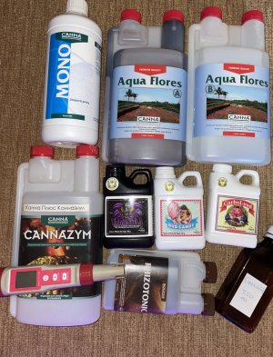 IMG_0889.jpg IMG_0889.jpg