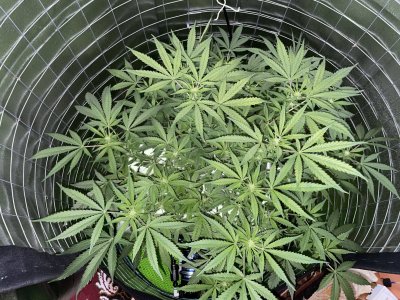 IMG_0891.jpg IMG_0891.jpg