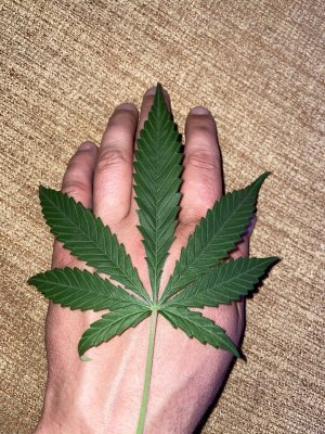 9DAE276F-B817-40B8-9485-8FF986D07773.jpeg 9DAE276F-B817-40B8-9485-8FF986D07773.jpeg