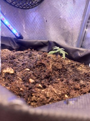 20230706_063011.jpg 20230706_063011.jpg