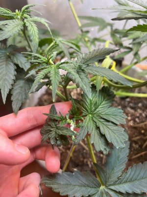 image-07-07-23-07-07-3.jpeg image-07-07-23-07-07-3.jpeg